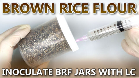 Inoculate BRF Jars With Liquid Culture