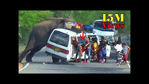 Heart-Stopping 8 Minuit Angry Wild Elephant Attack To Van And Car Passenger Out Of Van