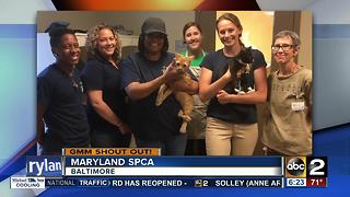 Maryland SPCA gives a Good Morning Maryland shoutout