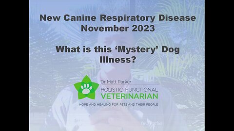 Mystery Dog Respiratory Illness
