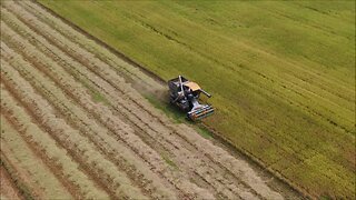 Farmers in Thailand using tractors to harvest the rice