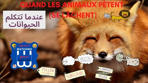 Drôle d'animaux 3 إضحك مع الحيوانات #Quand_les_animaux_pètent