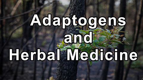 The Empowering World of Adaptogens and Herbal Medicine - Jane Barlow Christensen
