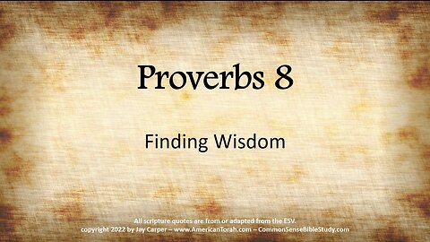 Leveling Up in Wisdom - Proverbs 8:1-4