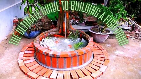 The Ultimate Guide to Building a Fish 🐟 Pond