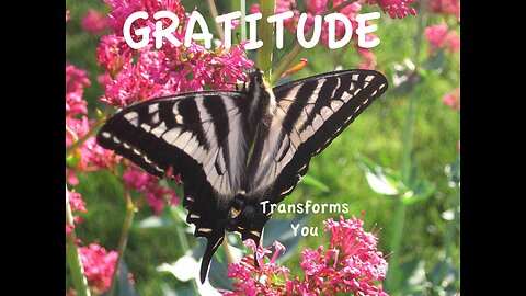 Thankfulness — Showing Gratitude to God