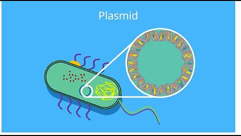Brisant! Plasmid DNA Kontamination im C-Impfstoff