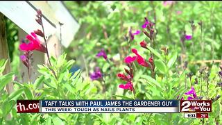 In The Garden with Paul James