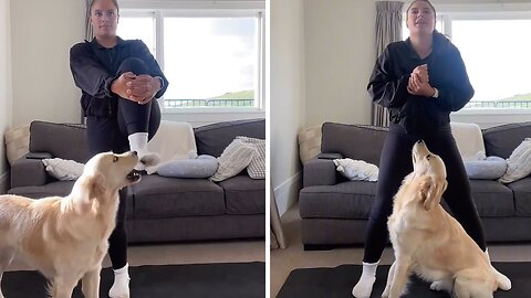 Home Workouts With A Golden Retriever Are Hilariously Impossible