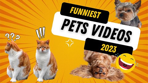 Pets Funny Moments 2023 - Cats & Dogs - Cute Video