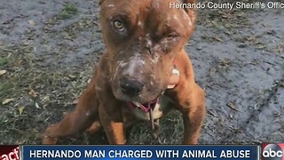Brooksville man charged with animal cruelty