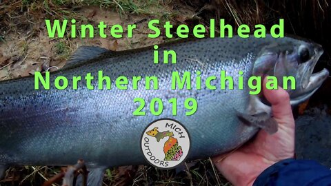 Winter Steelhead Fishing in Michigan: Flyfishing for Steelhead