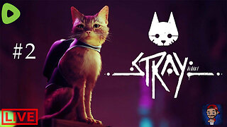 LIVE - Stray - Part 2 (Finale)