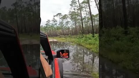 Bronco Wildtrak Going Into Water