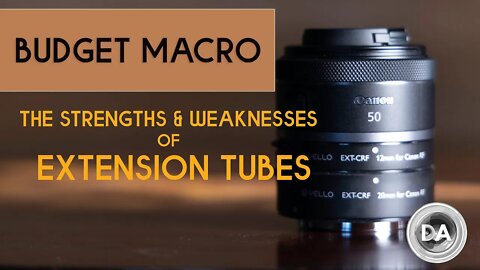 Cheap Macro? The Pros and Cons of Extension Tubes