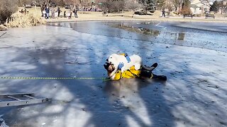 Firefighters rescue dog from icy pond