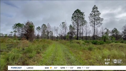 Walking Club: Exploring Little Manatee River State Park