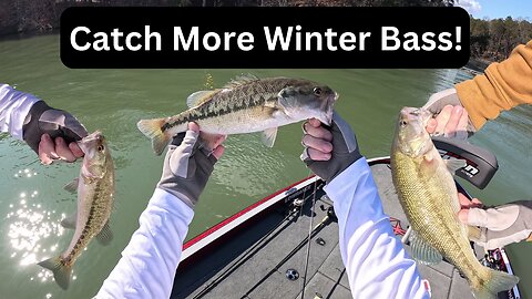 How to Fish in the Winter