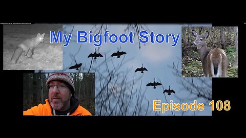 My Bigfoot Story Ep 108 - Weird Mechanical Noise In The Forest