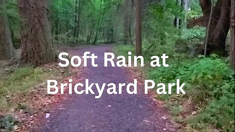 (audio) Soft rain at Brickyard Park