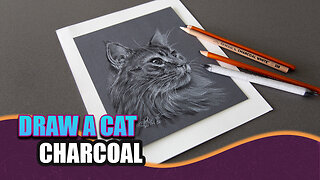 How to draw Fur - Drawing Lesson - Cat in Charcoal