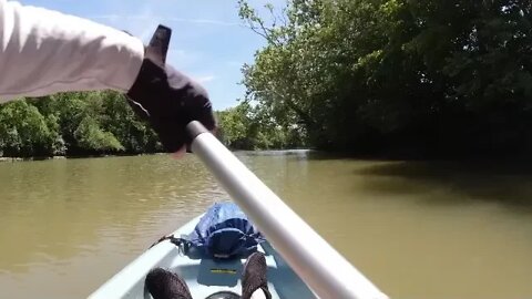 Stillwater River from Covington to Fenner Rd.