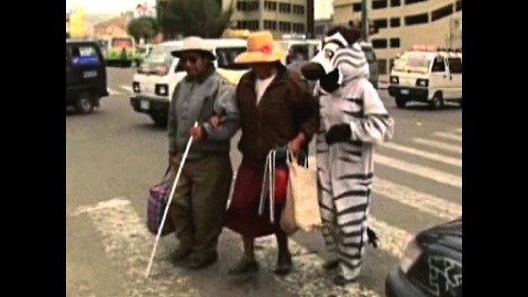 Bolivian Traffic Zebras