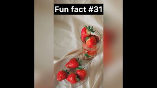 Did you know this about strawberries