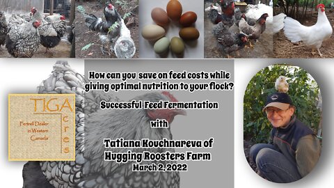 How Can You Save on Feed Cost While Giving Optimal Nutrition to Your Flock with Tatiana Kouchnareva