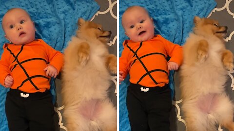 Baby And Puppy Cuddle Time Is Simply Adorable