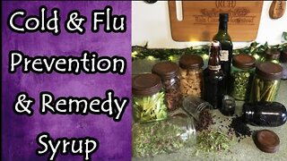 Elderberry Spice Syrup for Colds and Flus