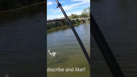 Best Fishing Videos!!!