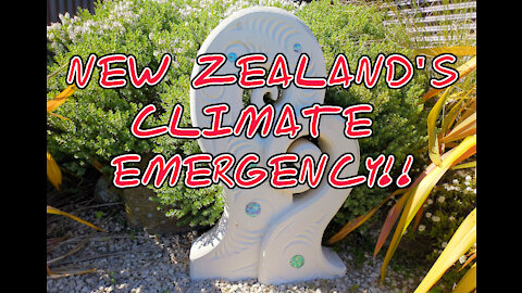 The Observation Post - IT'S A CLIMATE EMERGENCY! (In New Zealand)