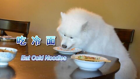 The cold noodles that make my dog crazy/Smiling Dog Senba