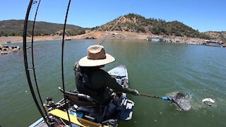 Living On Topwater (WWBT Don Pedro)