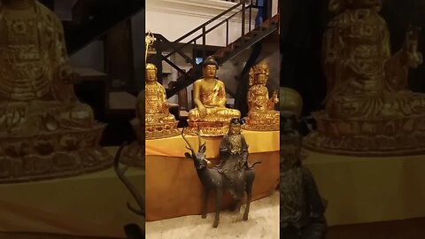 #shortvideo #buddhateachings