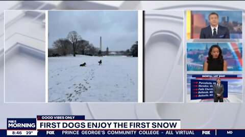 FOX 5 Leftist anchors Steve Chenevey & Jeannette Reyes drooled over Biden's dog playing in the snow
