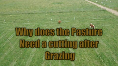 Why does the Pasture need a cutting after grazing