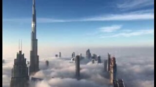구름 위 세상: 두바이 풍경을 바꾼 안개