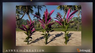 5 Things Ashes of Creation Should Take From Archeage