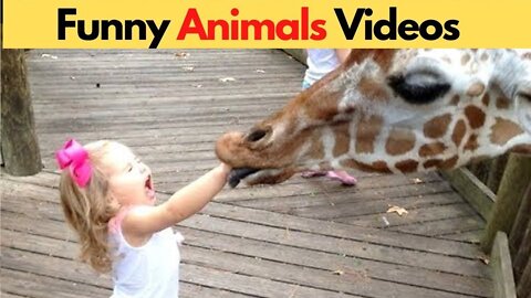 Funny Animal Videos 2022 😂 - Funniest Cats And Dogs Videos 😺😍 #funny 2