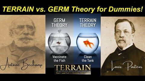 Danish Jonas Westh: TERRAIN Theory vs. The GERM Theory Explained for Dummies! [13.08.2022]
