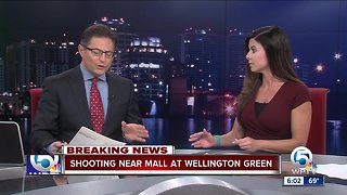 Shooting near mall at Wellington Green