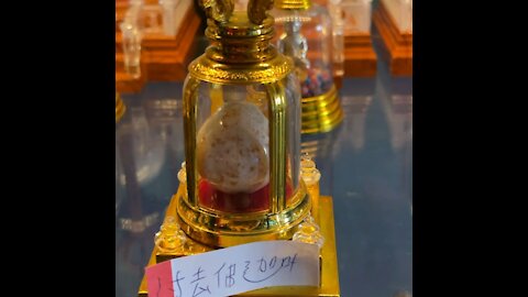 From the past dungeon relic of Buddha disciple ! It will keep growing !