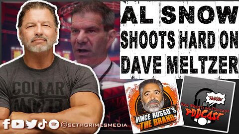 Al Snow SHOOTS on Wrestlers Working for Dave Meltzer | Clip from the Pro Wrestling Podcast Podcast