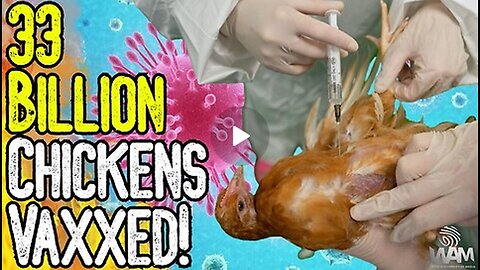 33 BILLION CHICKENS VAXXED! BIRD FLU HOAX - Avoid The Pharma Poisoned Food Supply