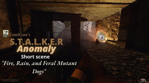 Fire, Rain, and Feral Mutant Dogs - S.T.A.L.K.E.R Anomaly Short Scene