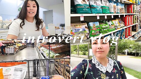 CHILL VLOG: pet supplies shopping, grocery shopping, and cook w/me!