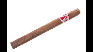 La Barba Petite Lancero Cigar Review
