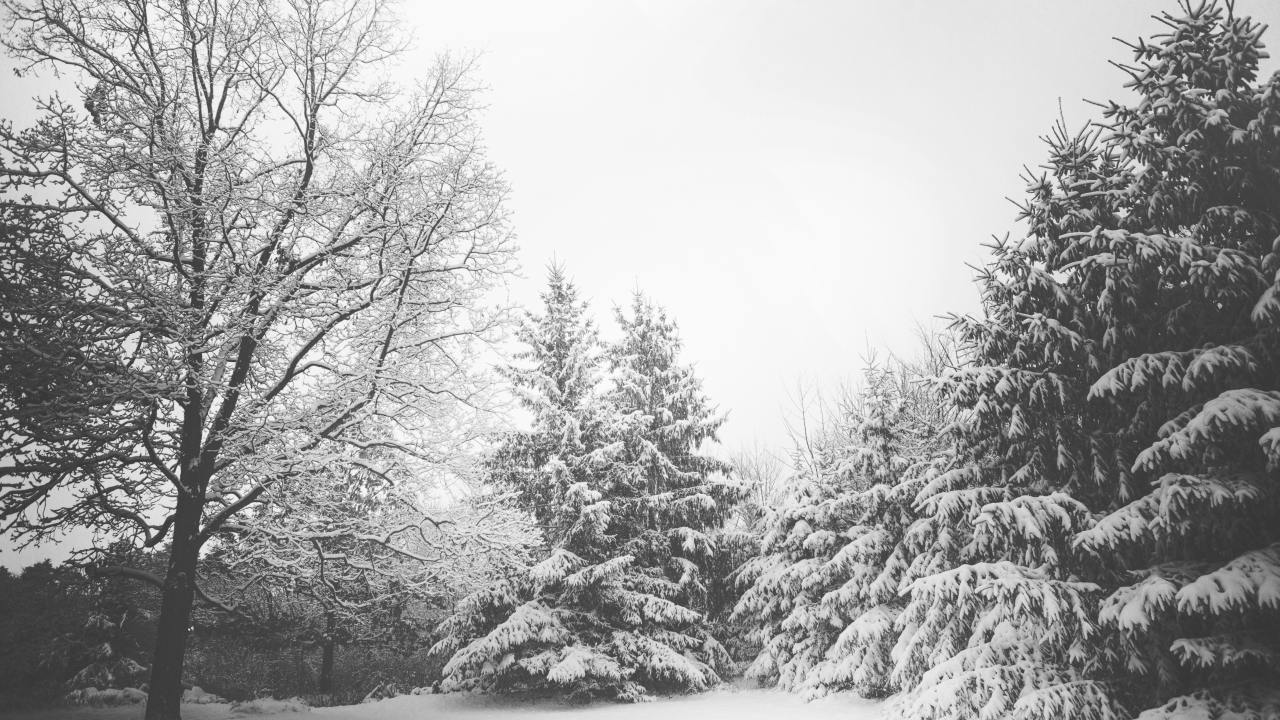 Winter Storm Watch issued for multiple counties across Northeast Ohio